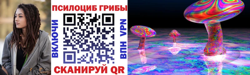 Галлюциногенные грибы Psilocybine cubensis  Купить закладки  Новодвинск 